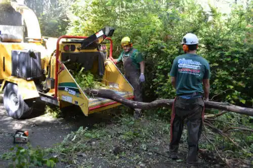 tree services Margaret